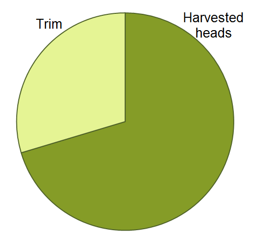 Nitrogen partitioning pie chart