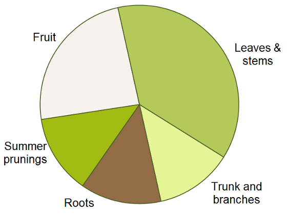 Nitrogen partitioning pie chart