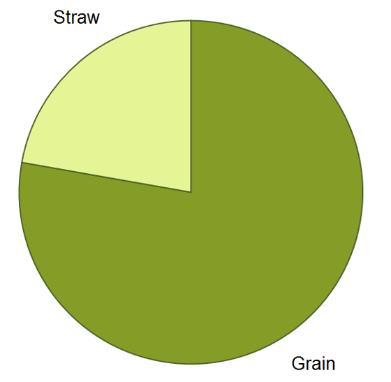 Nitrogen partitioning pie chart