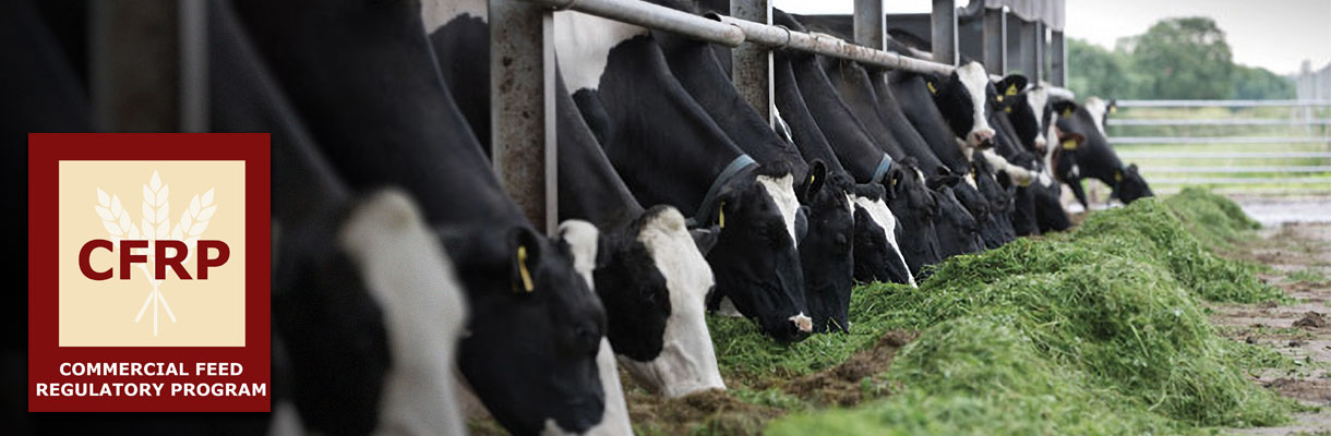 CFRP: Commercial Feed Regulatory Program logo over a photo of dairy cows eating hay