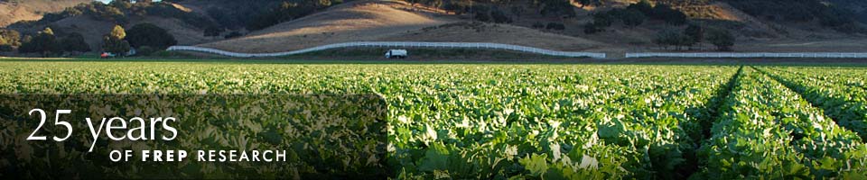 20 Years of FREP Research - Leafy green crops