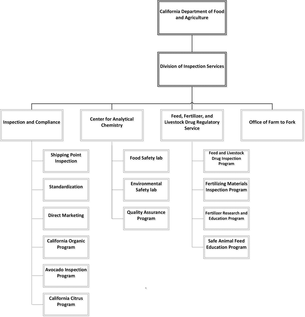IS Org Chart