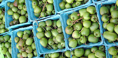 kiwis at the market