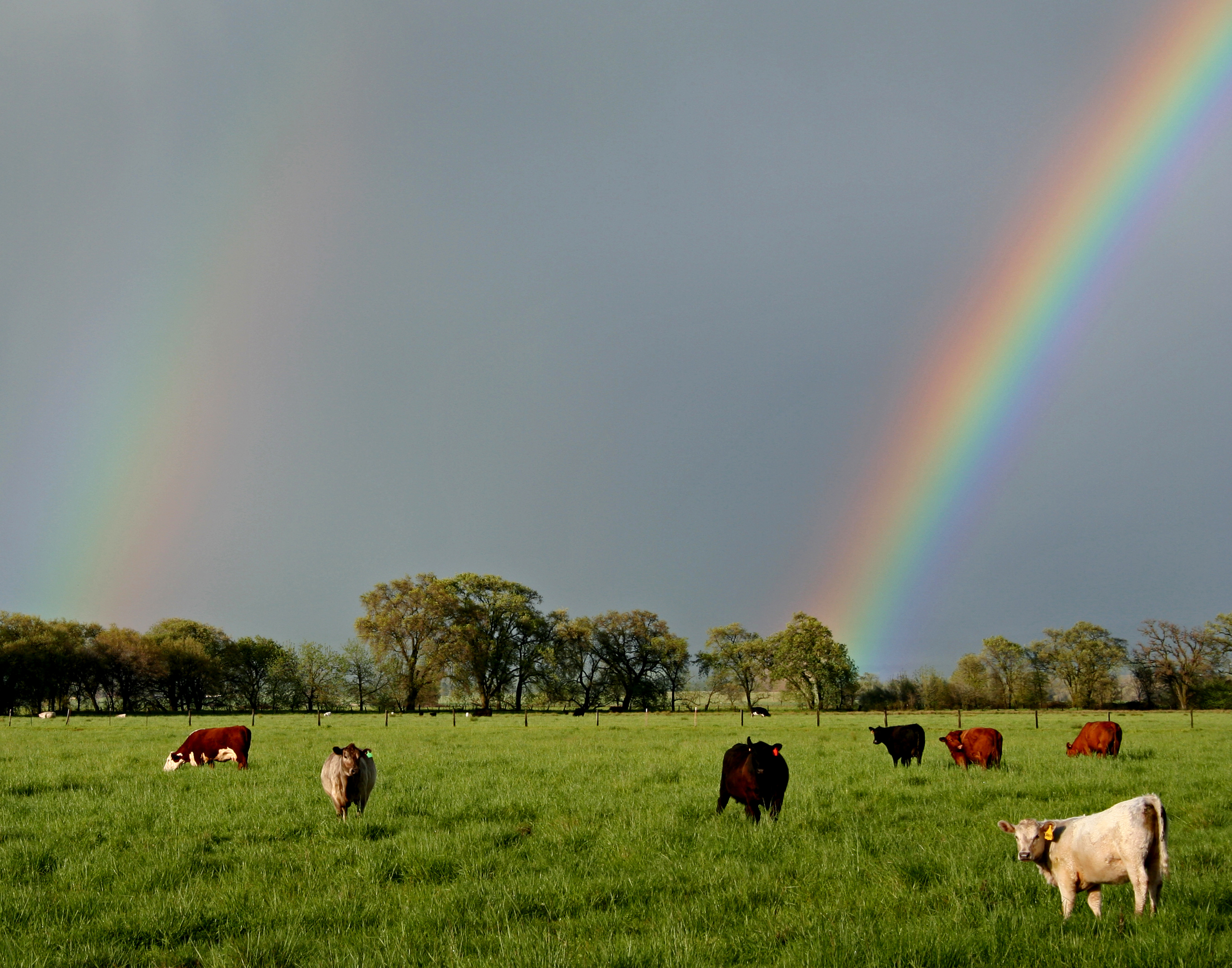 rainbow over a farm