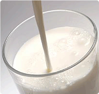 Glass of Milk