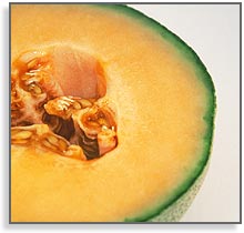 cantaloupe