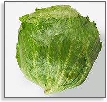 lettuce