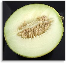 melon