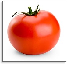 tomato