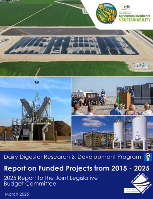 2025 Annual Report cover