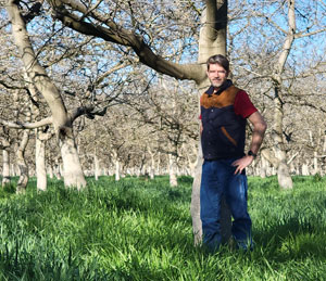 walnut farmer