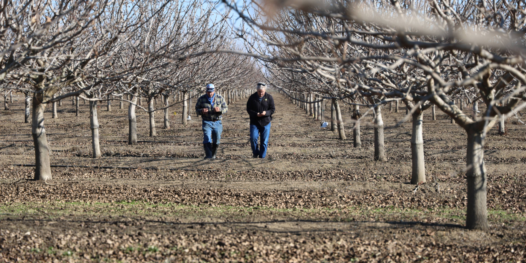 farmers walking in orchard
