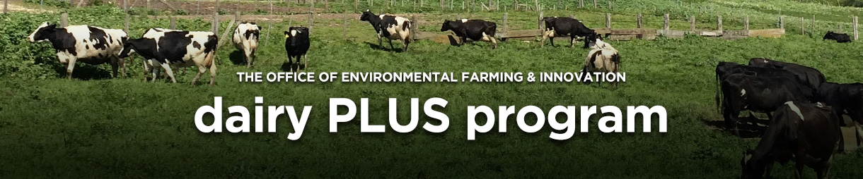 Dairy PLUS Program Program