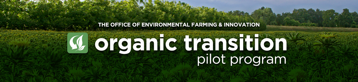 Organic Transition Pilot Program