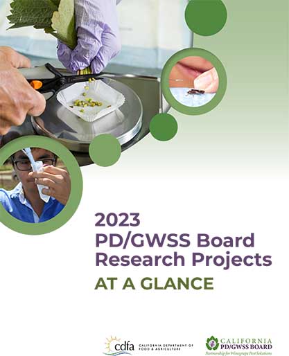 2023 PD/GWSS Board Research Projects at a Glance Report cover