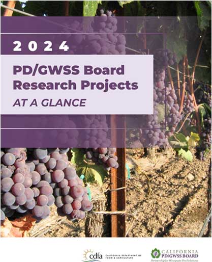 2024 PD/GWSS Board Research Projects at a Glance Report cover