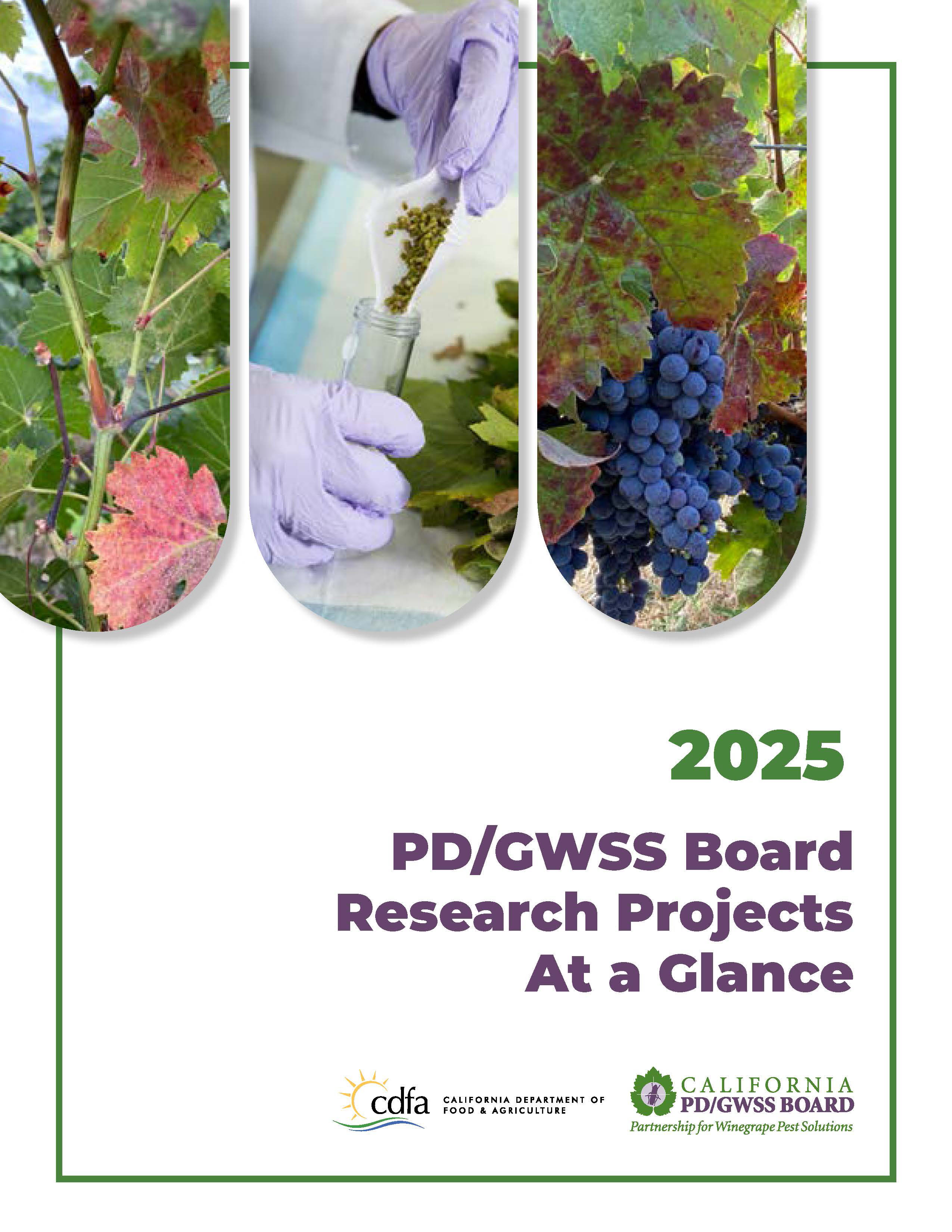 2025 PD/GWSS Board Research Projects at a Glance Report cover