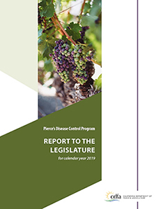 Pierce's Disease Control Program Report to the Legislature for Calendar Year 2019