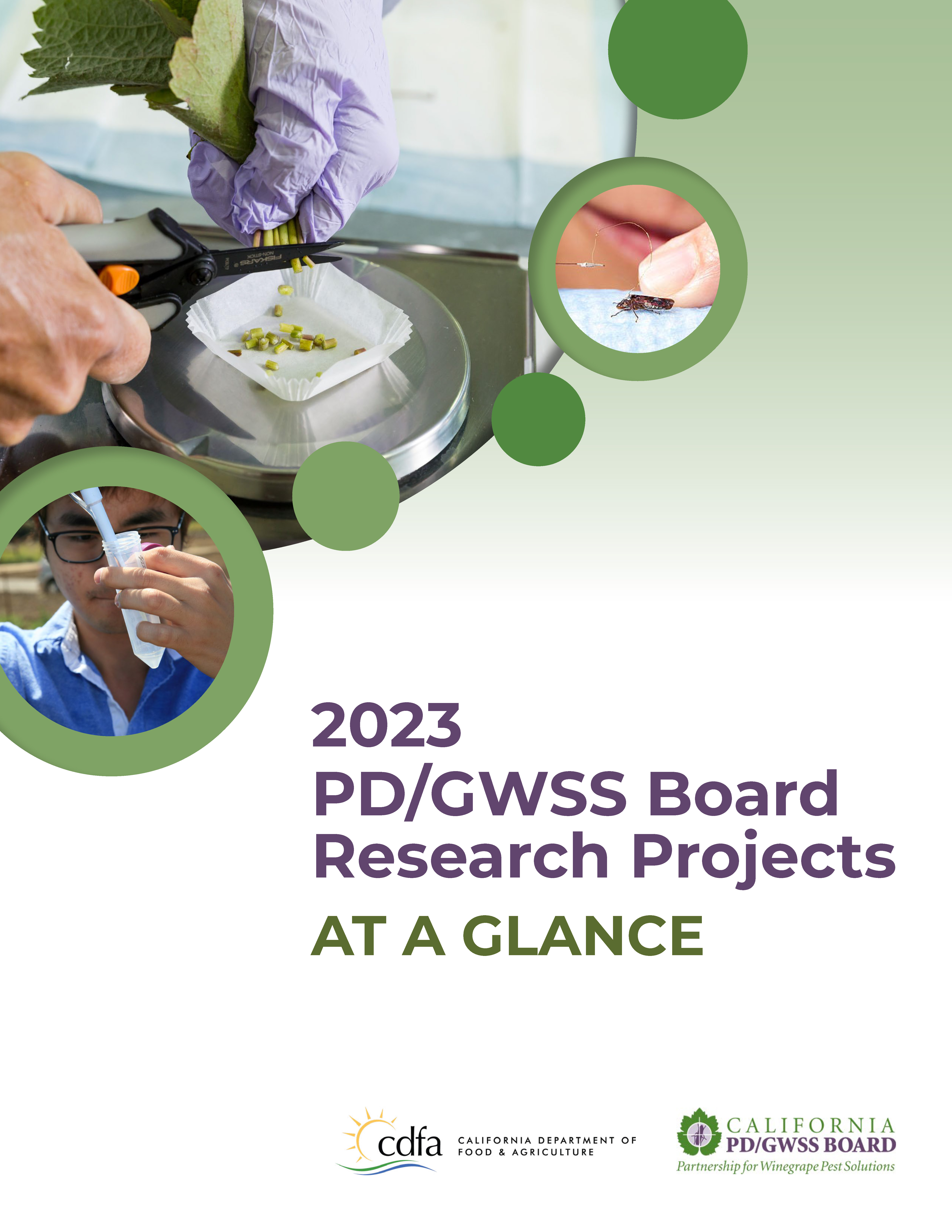 2023 PD/GWSS Board Research Projects at a Glance cover