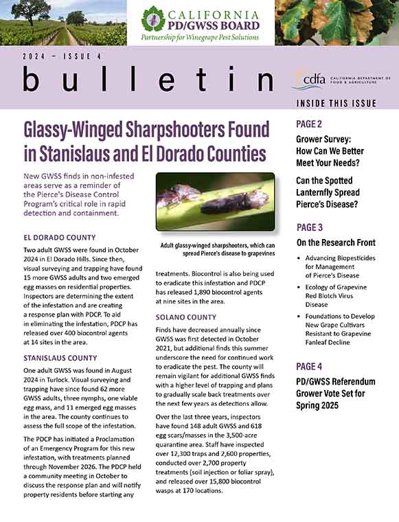 Issue 4 cover of Newsletter