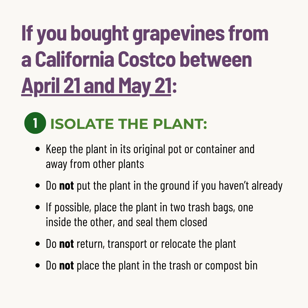 gwss costco what to do image