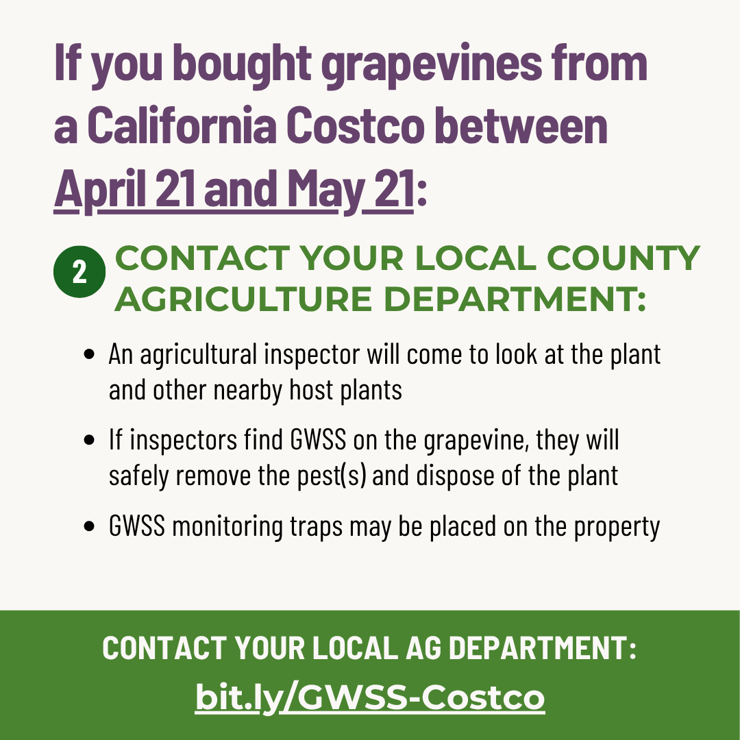 gwss costco what to do image
