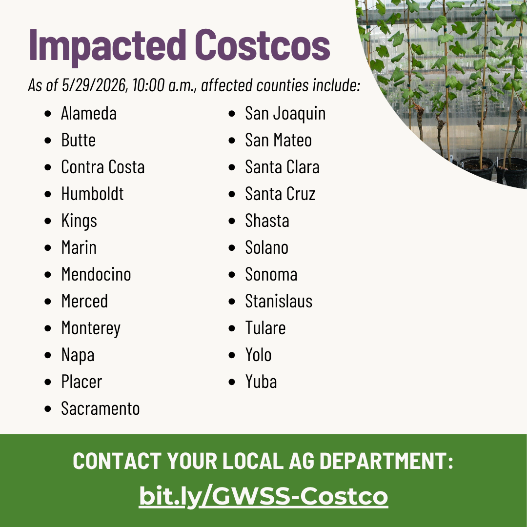 gwss costco what to do image