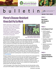 Issue 1 cover of Newsletter