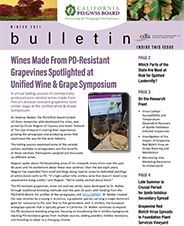 winter 2021 cover of Newsletter