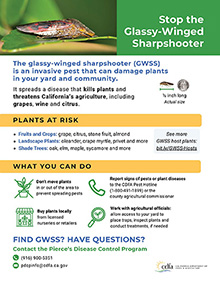 General Flyer - Stop the Glassy-Winged Sharpshooter