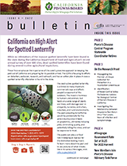 Issue 3 cover of Newsletter