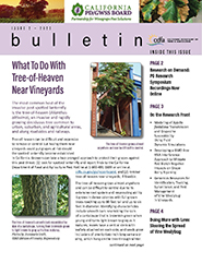 Issue 2 cover of Newsletter