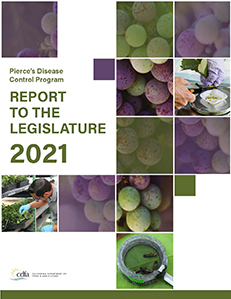 Pierce's Disease Control Program Report to the Legislature for Calendar Year 2021