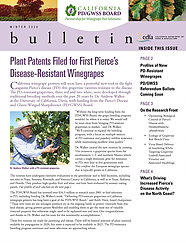 Pierce's Disease Control Program Quarterly Newsletter