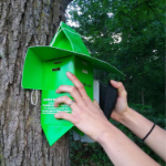 Spongy Moth Trapping photo