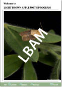 Link to the 2009 Light Brown Apple Moth Annual Report