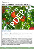 Link to the 2009 Pest Detection Emergency Projects Annual Report