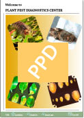 Link to the 2009 Plant Pest Diagnostics Center Annual Report