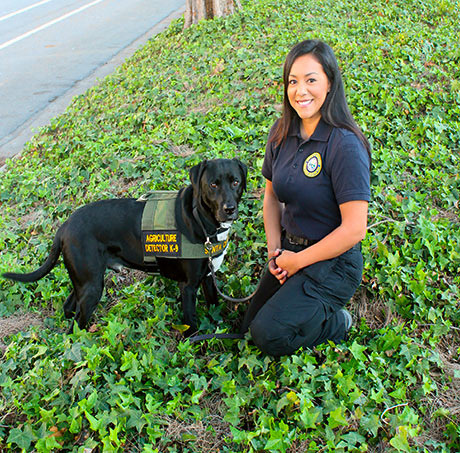 Handler Marithza Hernandez