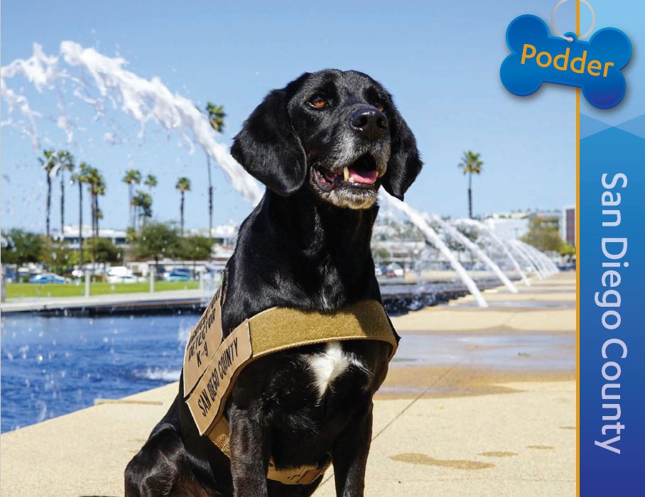 Detector Dog Podder, San Diego County