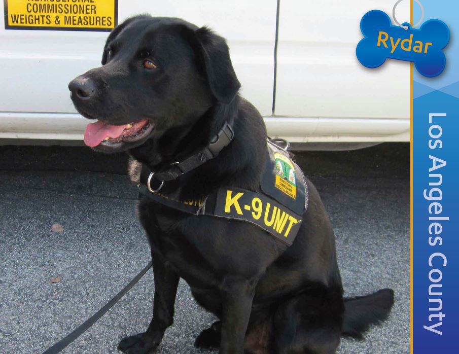 Detector Dog Rydar, Los Angeles County