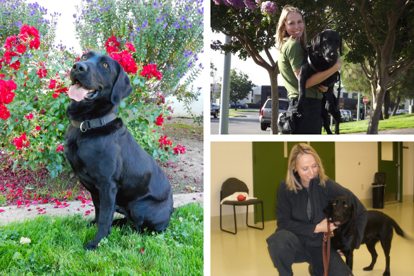 Handler Jennifer Berger and Detection Dog Roxie Handler Jennifer Berger and Detection Dog Roxie