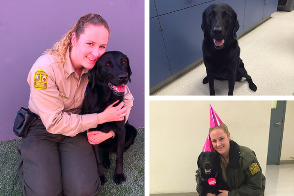 Detector Dog Sedona and Handler Lauren Eckert Detector Dog Sedona and Handler Lauren Eckert