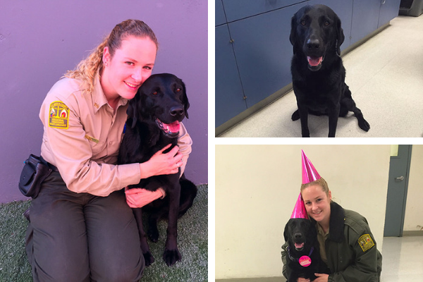 Detector Dog Sedona and Handler Lauren Eckert