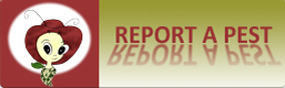 Report a Pest