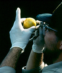 Pest Program Home Page image
