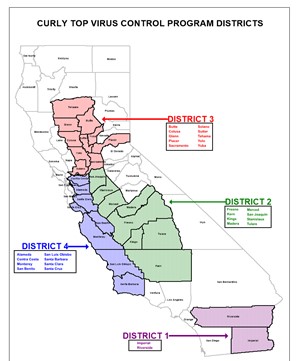 District maps