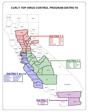 district map