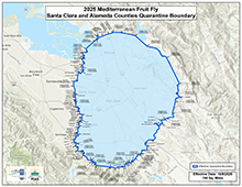 Mediterranean Fruit Fly Quarantine Santa Clara Co. – San Jose Area Overview