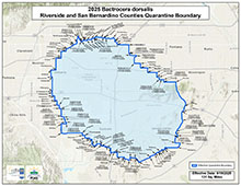 San Bernadino and Riverside Counties Areas